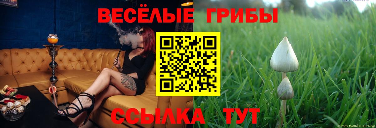 Галлюциногенные грибы Psilocybe  Псилоцибиновые грибы мицелий  Магадан  где продают   Вход с VPN 
